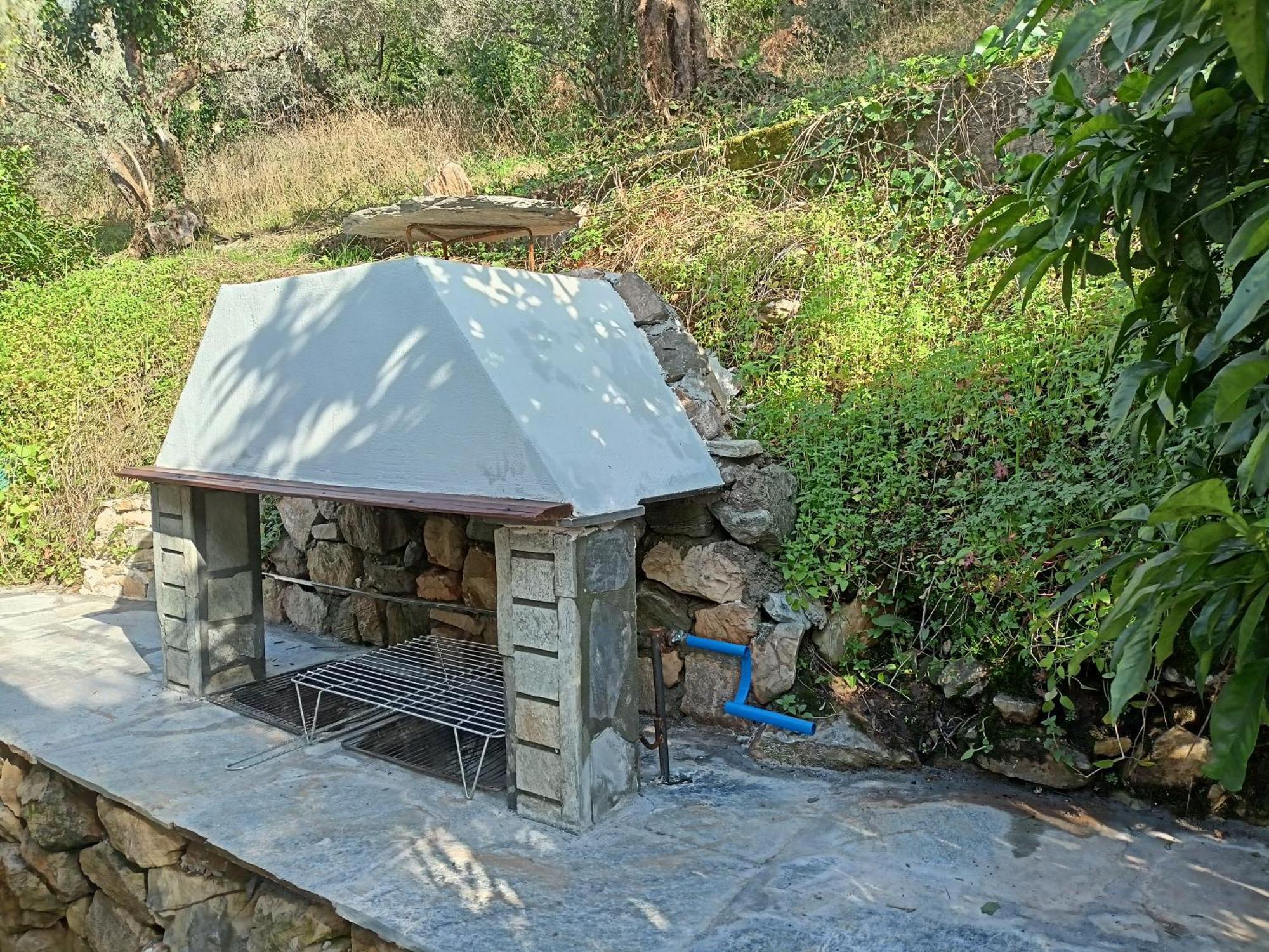 霍里顿Ελαιώνας - Solar Energy House别墅 外观 照片